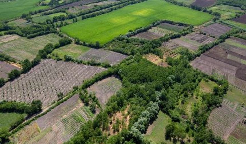 Diyarbakır'da arazi toplulaştırma askı süreci başladı