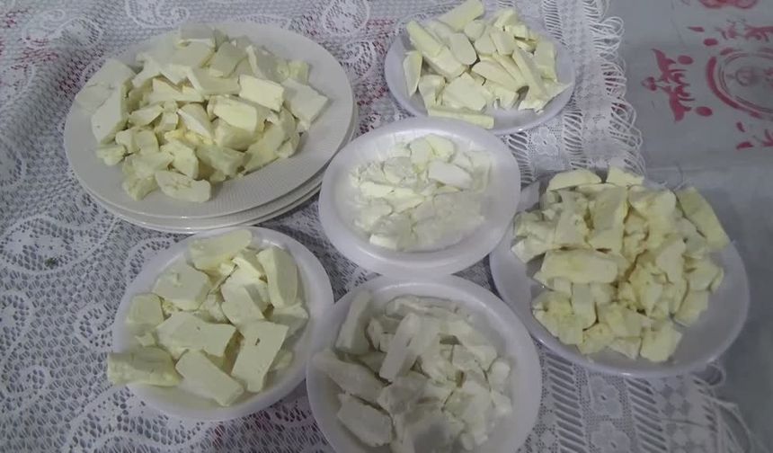 Muş'ta çiftçiler arasında peynir yarışması