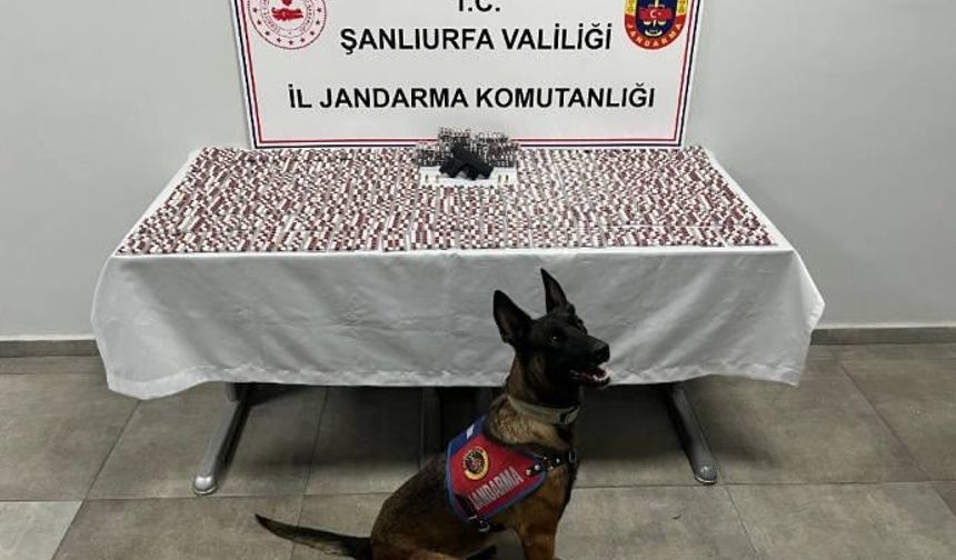 Şanlıurfa'da narkotik operasyonunda 2 şüpheli yakalandı