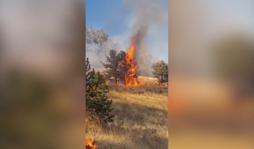 Erzurum'da 3 noktada çıkan orman yangınlarının 2'si kontrol altına alındı
