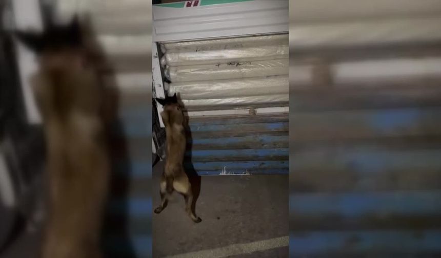 Hakkari’de 87,5 kilo uyuşturucu ele geçirildi