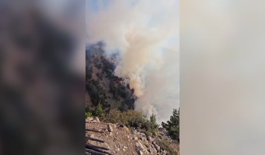 Hatay'da orman yangını