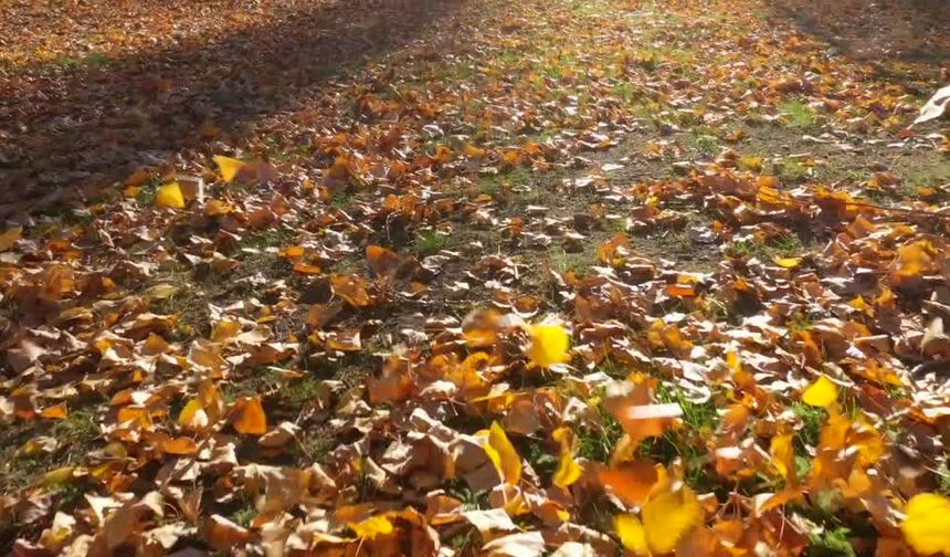 Hazar Gölü sonbahar renkleriyle doyulmaz manzaralar sunuyor