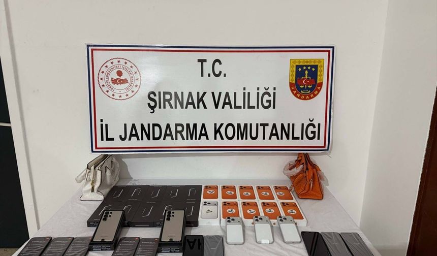 Şırnak'ta kaçakçılık ve asayiş operasyonlarında 69 şüpheli hakkında işlem yapıldı