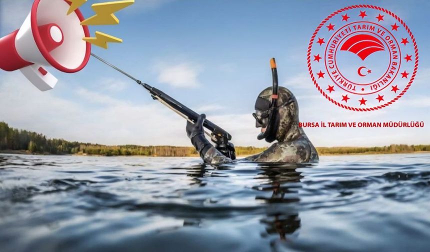 Amatör balıkçılar için sualtı avcılığında yeni zorunluluk