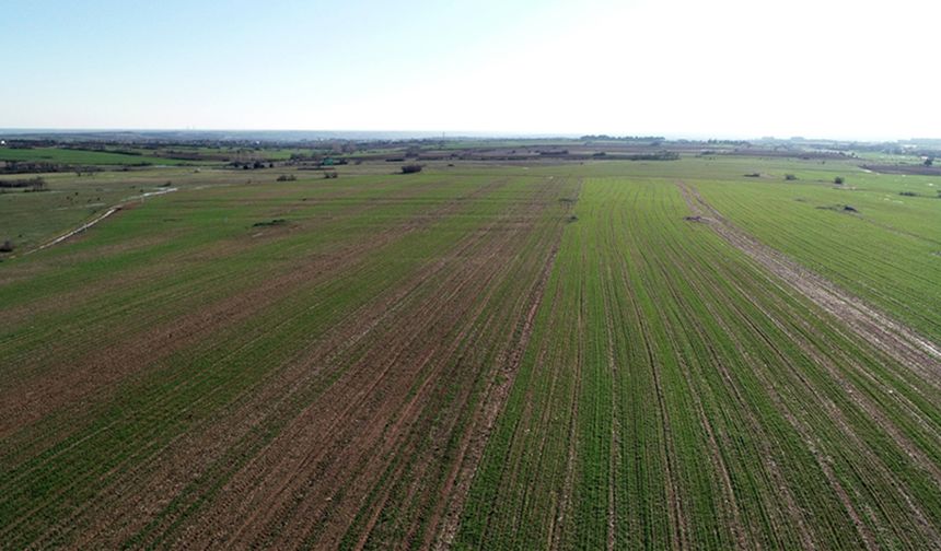 Diyarbakır'da 9 dönümlük arazi icradan satışa çıkarıldı