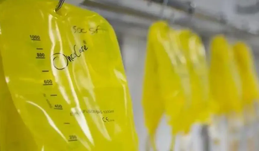 Besin alerjileri son yüzyılda arttı