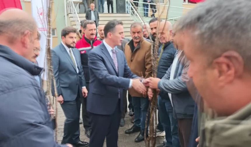Çiftçilere 12 bin sertifikalı ceviz fidanı dağıtılıyor