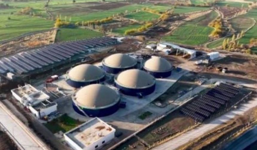 Elazığ’a Besi Organize Tarım Bölgesi kuruluyor