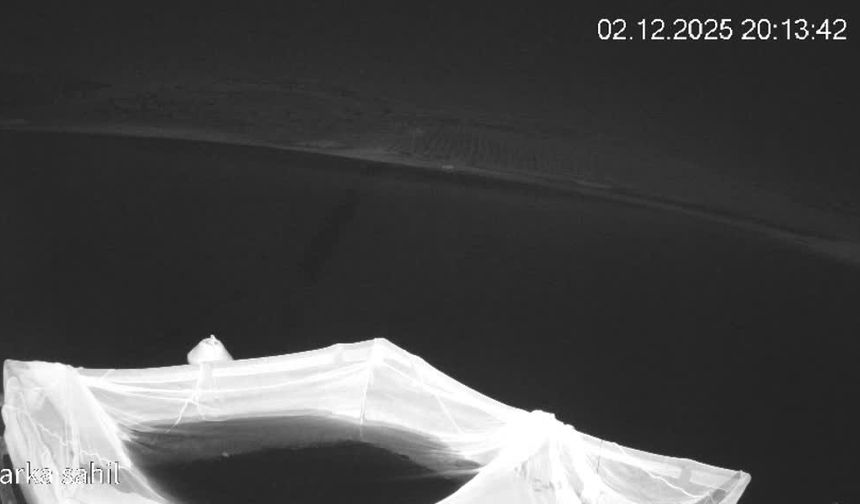 Elazığ'da nesli tehlike altındaki su samuru görüntülendi