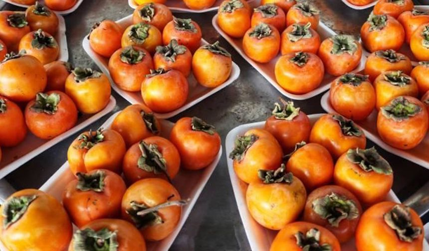 Cennet hurmasının faydaları nelerdir?