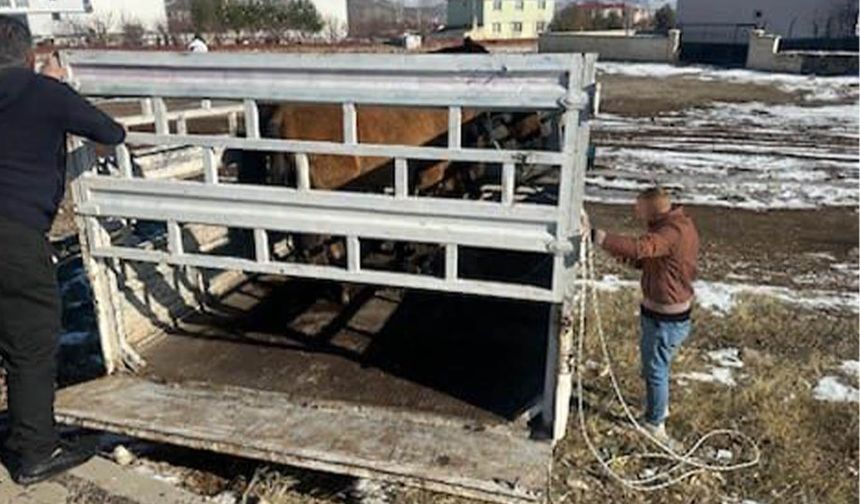 Kazalara sebep oluyordu; çözüm bulundu
