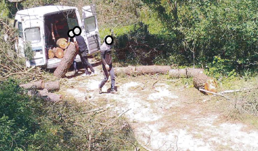 OGM’den kaçak kesimlere karşı 7/24 koruma