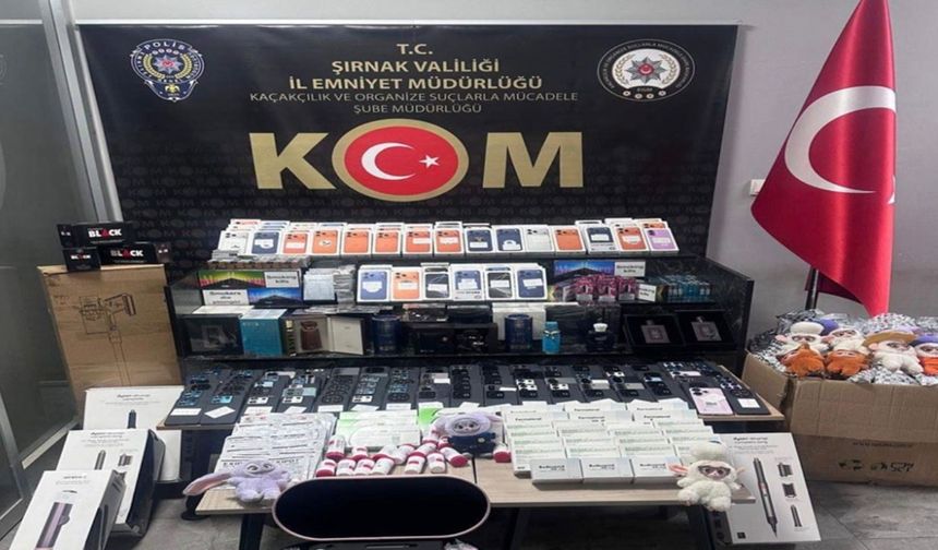 Şırnak’ta dev operasyon: 74 gözaltı