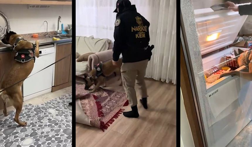 Şırnak’ta şafak operasyonu: 20 gözaltı