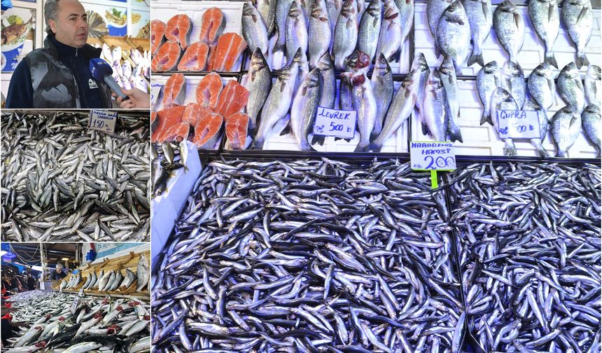 Soğuk havalar balık tezgahlarını canlandırdı