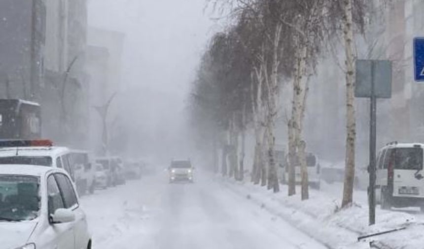 Valilik duyurdu: Bitlis'te okullar tatil edildi