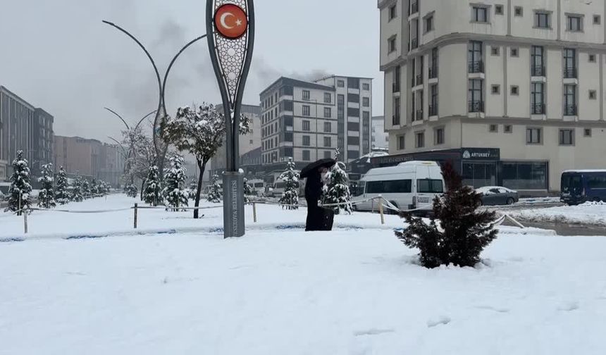 Van, Muş ve Hakkari'de 62 yerleşim yeri ulaşıma kapandı