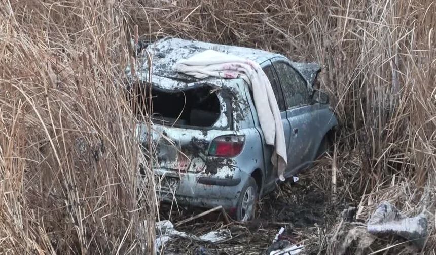 Van’da otomobil sazlık alana düştü: 5 yaralı