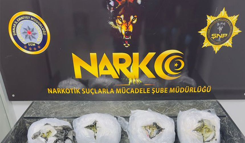 Şırnak'ta 6 kilo 200 gram skunk ele geçirildi: 2 şüpheli yakalandı