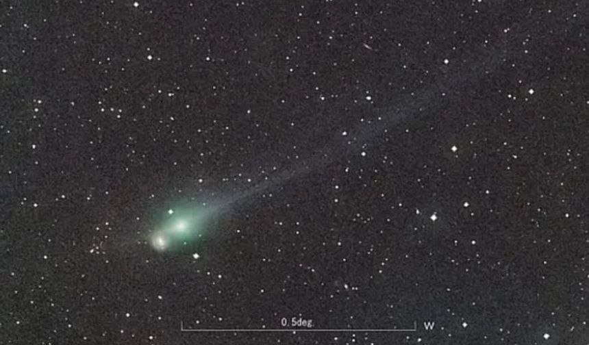 2025’te dünyayı hayrete düşüren 5 ilginç olay