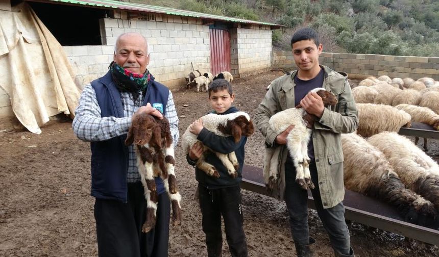 300 küçükbaş hayvanı telef oldu! Devlet desteğiyle yeniden ayağa kalktı
