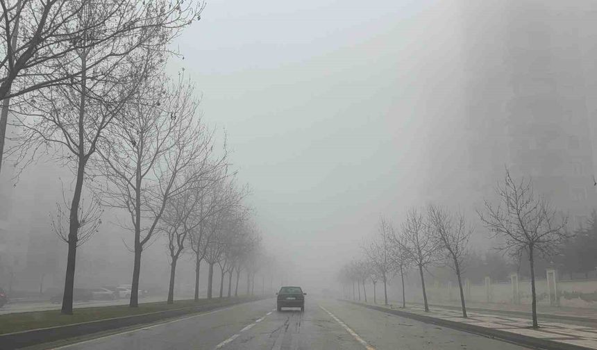 Gaziantep'te 2 gündür yoğun sis etkili oluyor