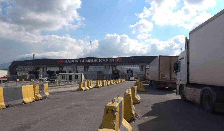 Habur Sınır Kapısı'nda 2,4 milyar liralık ürün ele geçirildi