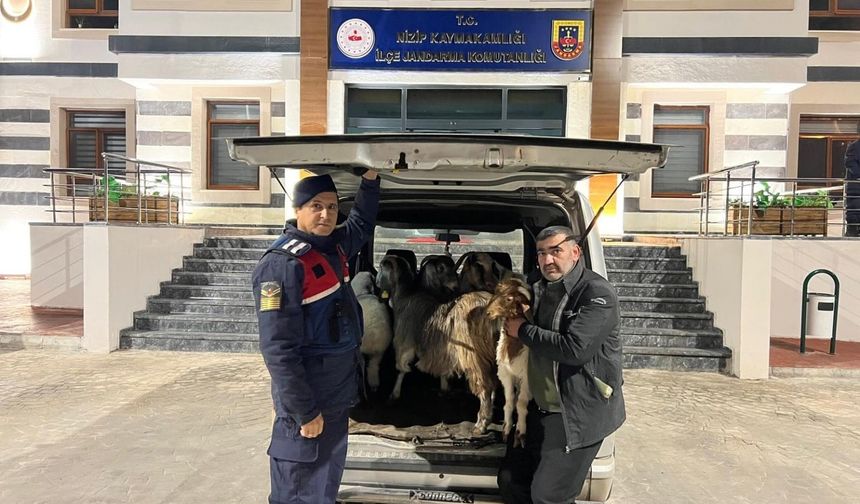 Sahte para ile besiciyi dolandıran şahıslar yakalandı