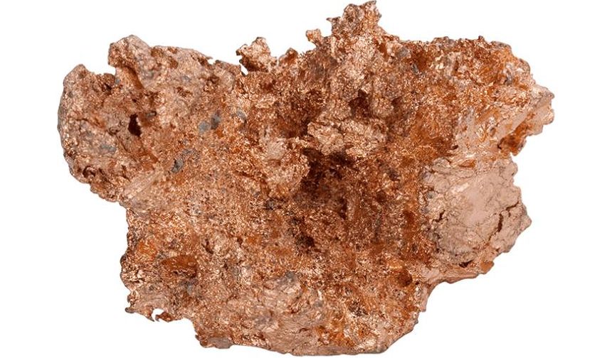 Elazığ ve Siirt'te bulunuyor: Talep hızla artıyor