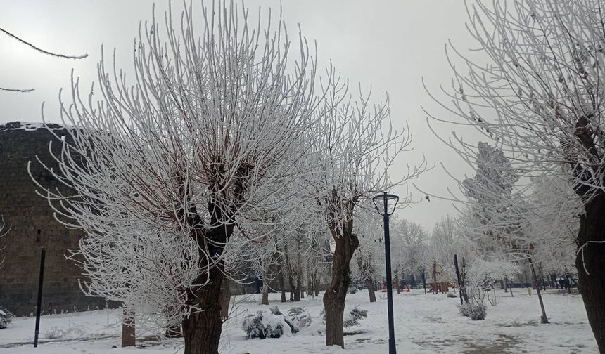 Diyarbakır'da hava durumu: Sis, soğuk ve çığ uyarısı!