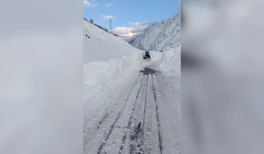 Çığın düştüğü Van-Çatak kara yolunda çalışmalar sürüyor