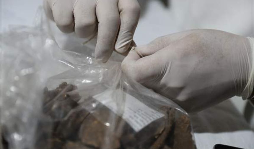 Diyarbakır'da 255 insan iskeleti Mezopotamya ve Kafkas bağlantılı çıktı