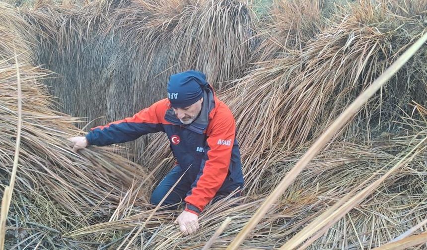 Diyarbakır'da 379 kişi iz takip ve kadavra köpeğiyle kayıp kadını arıyor