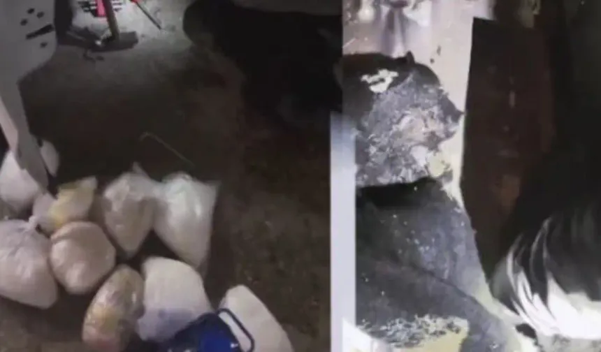 Gevaş’ta 10 kilo narkotik ele geçirildi