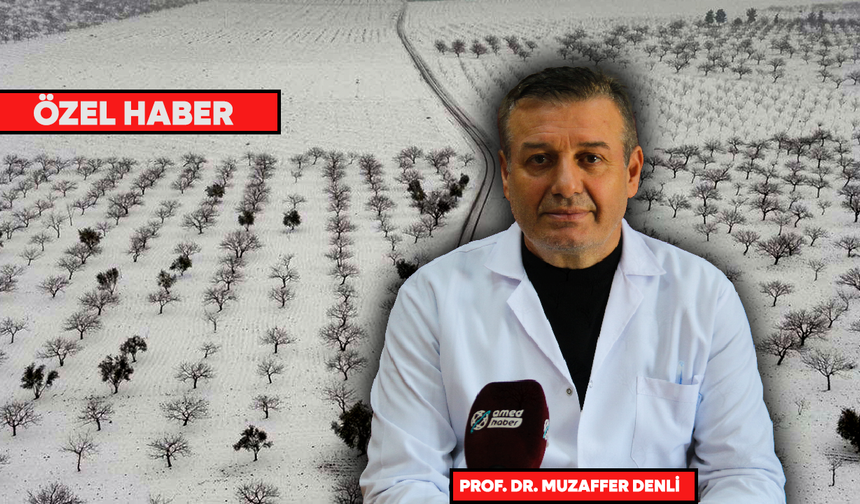 Prof. Dr. Denli: Bu yıl yağan kar tarıma can suyu oldu