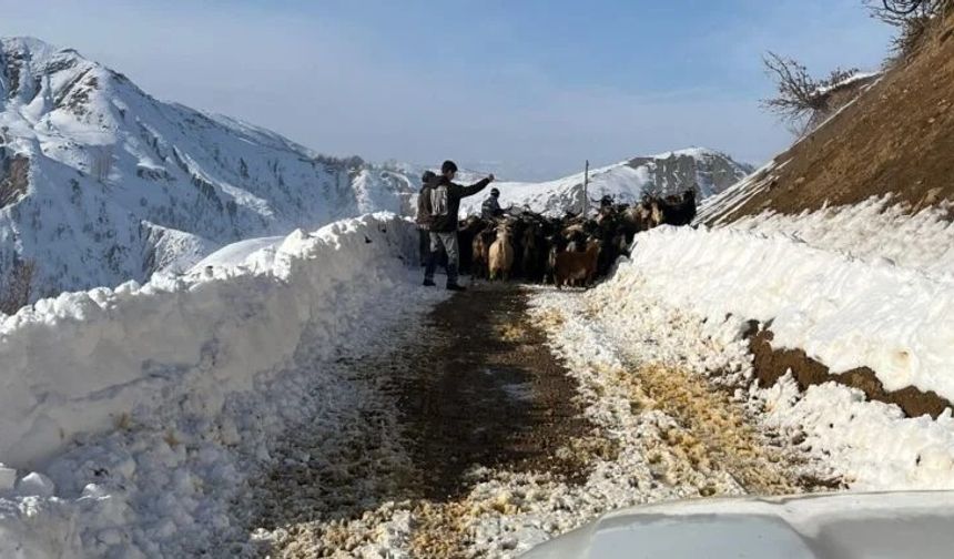 Karlıova’nın adına yaraşır kar yağışı devam ediyor