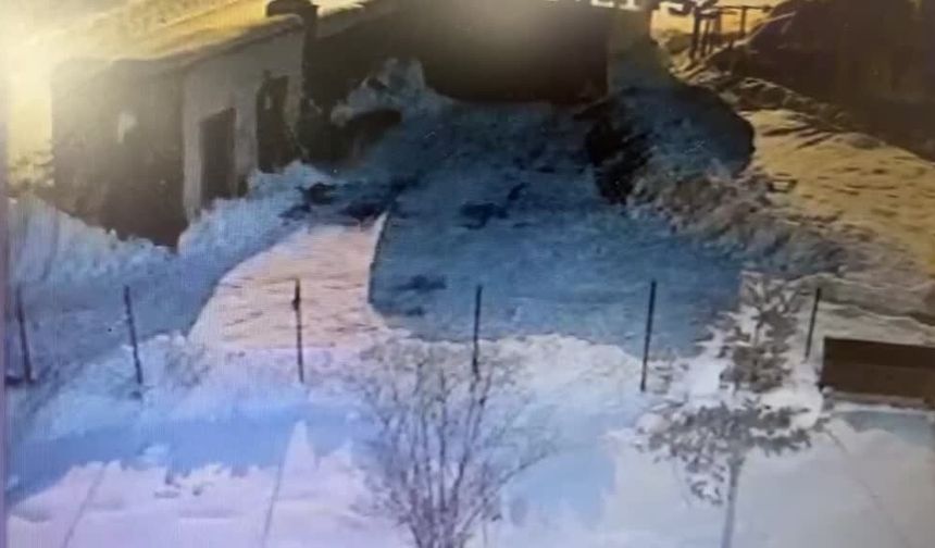 Kars'ta iki kurt evin bahçesindeki köpeği boğdu