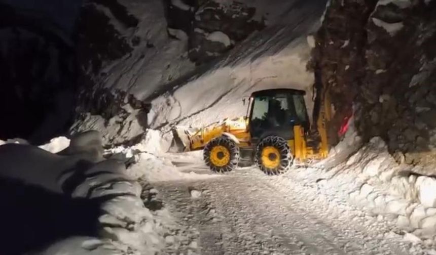 Siirt'te çığ temizlendi, yol ulaşıma açıldı