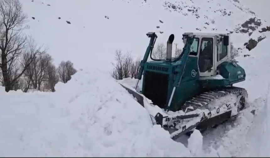 Şırnak'ta kar kalınlığı 2 metreyi aştı, ekipler vardiyalı sistemle sahada
