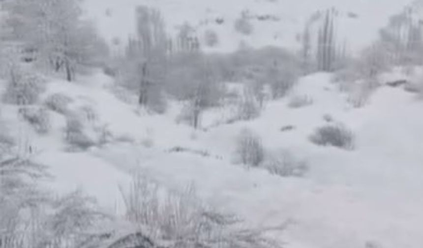 Yüksekova’da düşen çığ köye kadar ulaştı