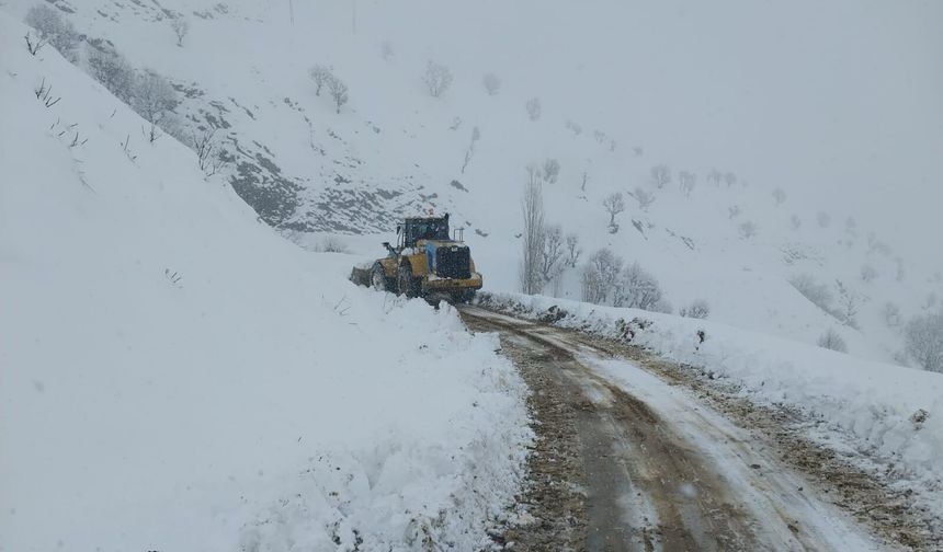 Kulp’ta kar ulaşımı aksattı: Kapanan mahalle yollarında çalışma başlatıldı
