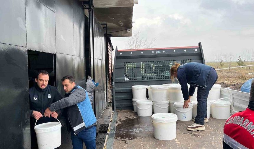 Diyarbakır'da 460 kilogram peynir imha edildi