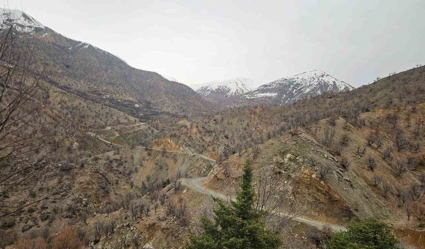 Diyarbakır'da kayıp yaşlı adam 11 gündür aranıyor