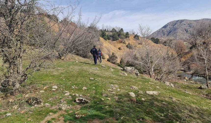 Diyarbakır'da yaşlı adamı arama çalışmaları 10'uncu gününde