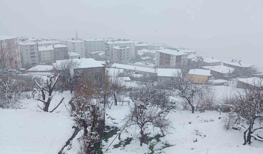 Kulp'ta kar yağışı etkili oldu, ilçe beyaza büründü