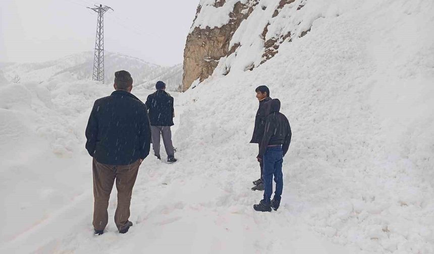 Siirt'te yolda mahsur kalan araçlar kurtarıldı