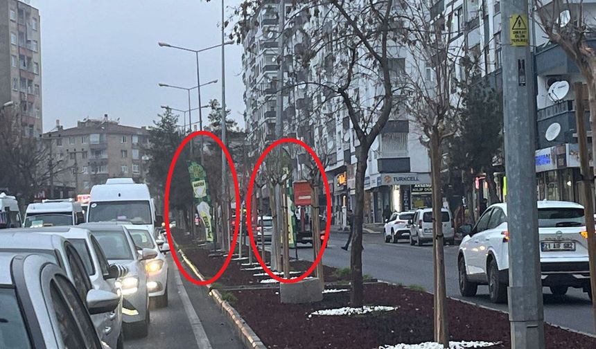 Bu ne aymazlık: Hem kötülük hem reklam! Yetkililer nerede?