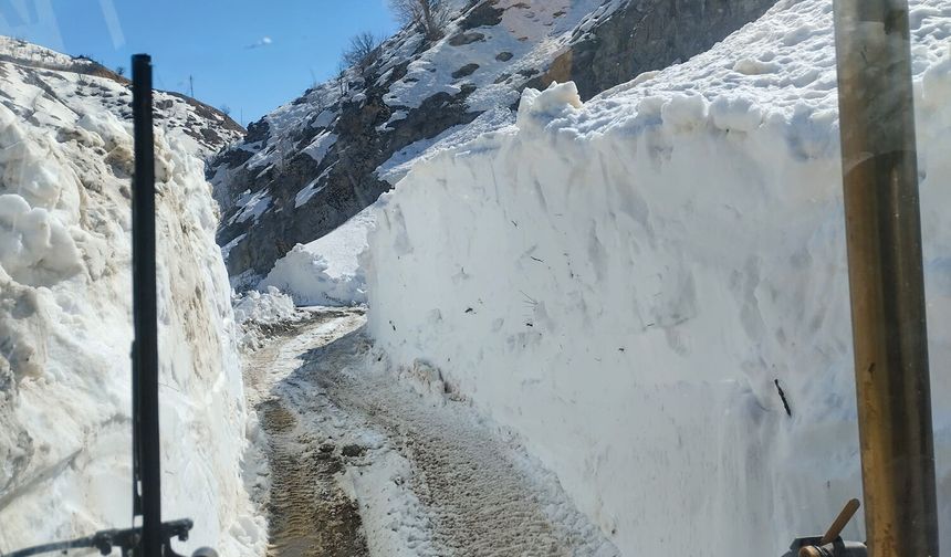 Kulp'ta su kaynağına çığ düştü