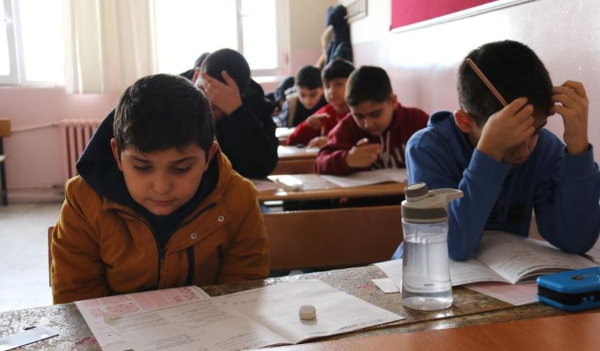 Diyarbakır Ergani'de siyer yarışması heyecanı